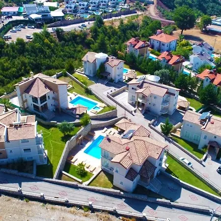 Holly Vilă *