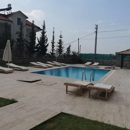 Holly * Φετιγιέ