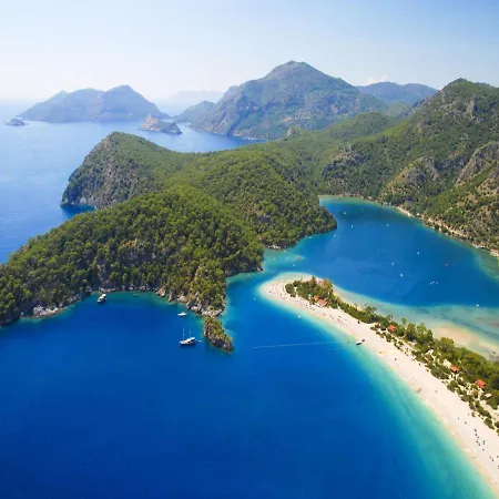 Holly Φετιγιέ