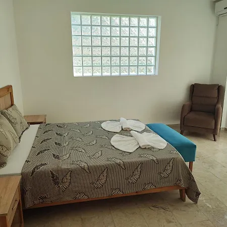 Holly Φετιγιέ