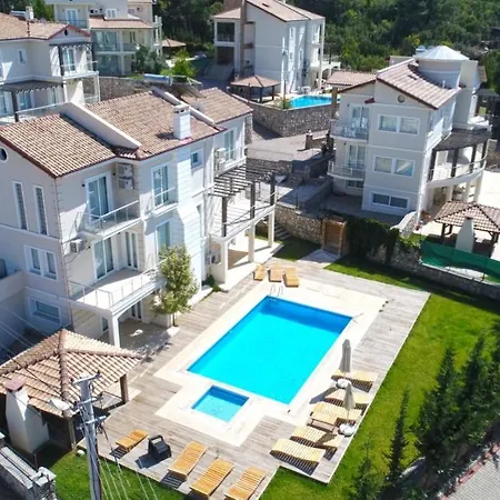 Holly Φετιγιέ