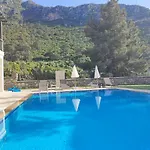 Villa Holly *